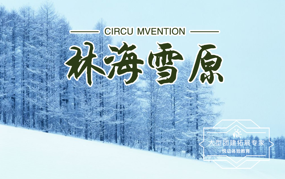 雪地團建-林海雪原